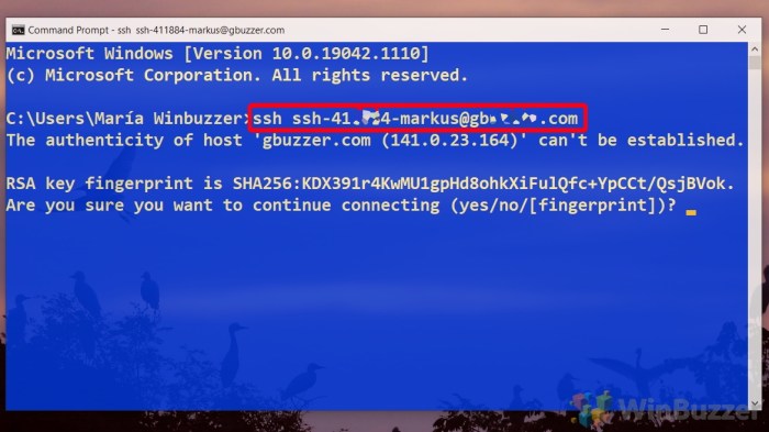 enable ssh on windows server 2008