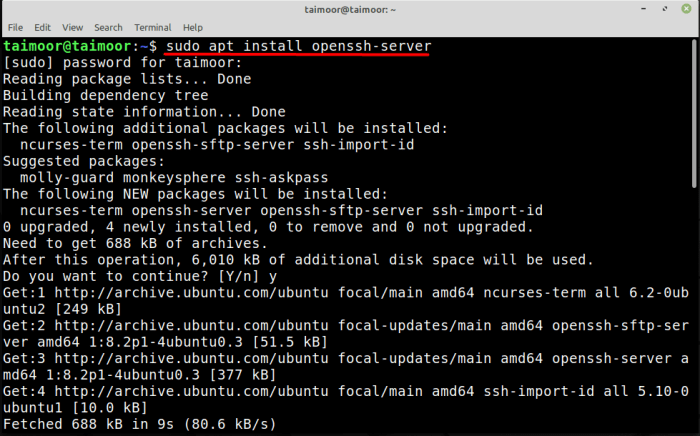 linux mint install ssh server