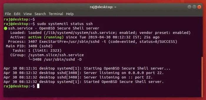 linux mint install ssh server