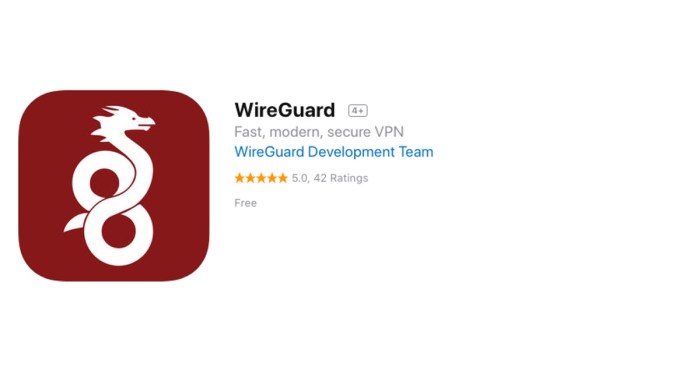 wireguard logo terbaru