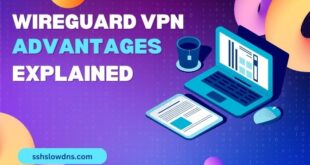 WireGuard VPN Advantages Explained