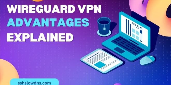 WireGuard VPN Advantages Explained