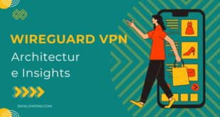 WireGuard VPN Architecture Insights