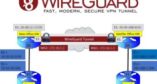 wireguard dns