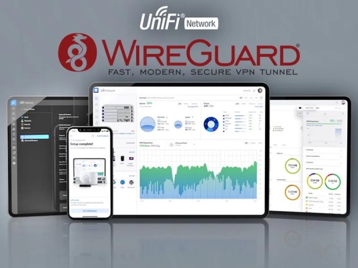 unifi wireguard client