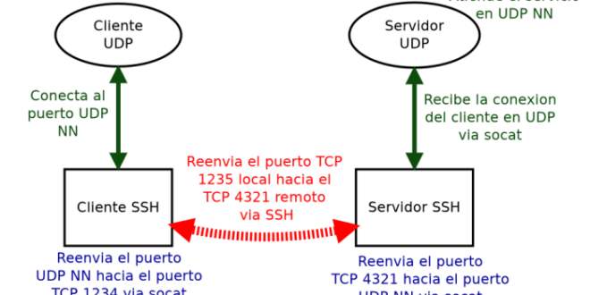 putty udp tcp ssh forwarding port session packets towards server create