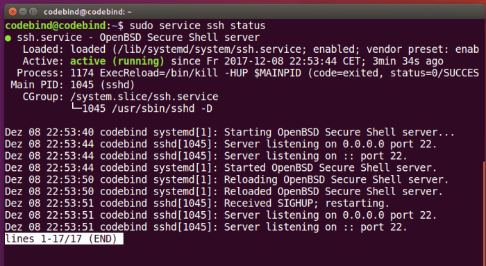 ubuntu check if ssh server is running terbaru