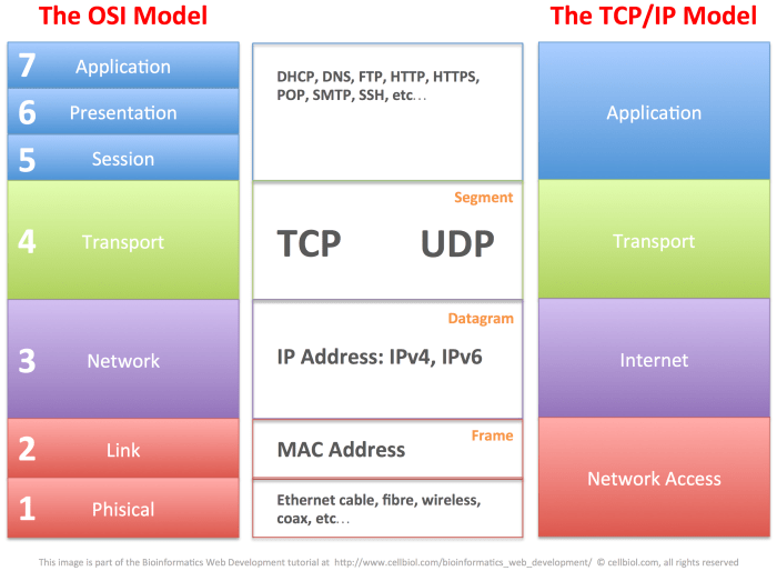 tcp udp protocol control protocolos connessione termination protocolo teardown works ionos explained protocollo digitalguide