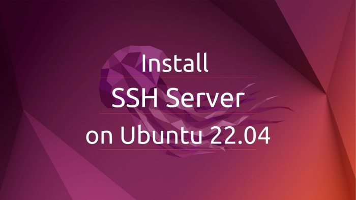 ssh ubuntu configurar configurare utilizzare systemctl sudo routech moyens