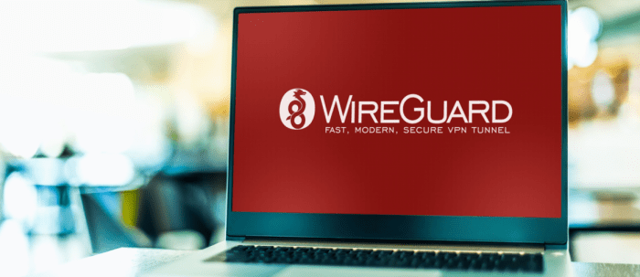 wireguard vpn cactusvpn newest