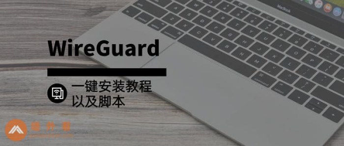 clash支持wireguard