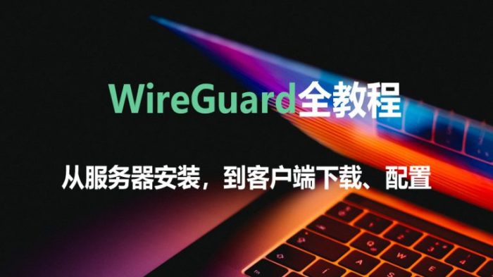 clash支持wireguard