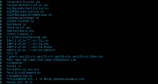 ssh sessions running keep linux disconnection after shell remote understand scripting language basic tips processes ways terminal