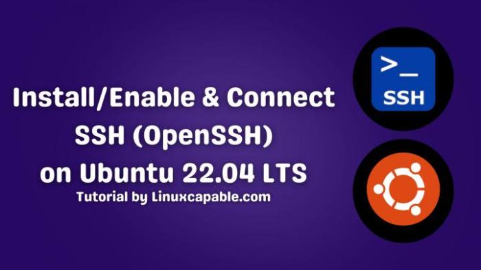 ubuntu 22.04 enable ssh server