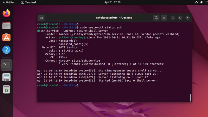 ubuntu 22.04 enable ssh server terbaru