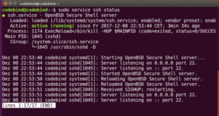 ssh linux sudo systemctl status sshd