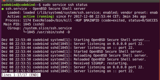 ssh linux sudo systemctl status sshd