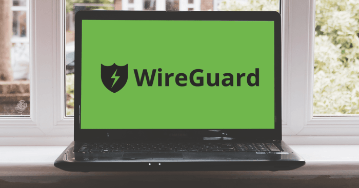 wireguard windows app mullvad tunnel file disconnect connect